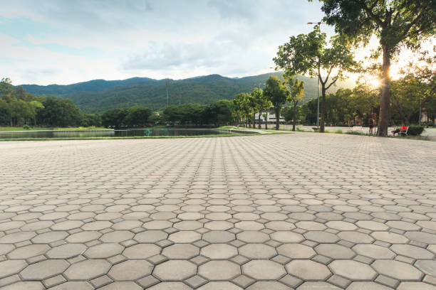 Best Interlocking Driveway Pavers  in Whitefish, MT